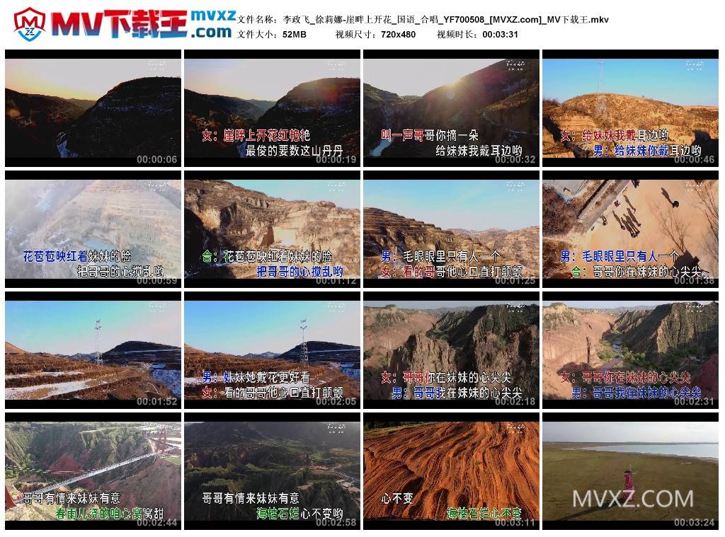 李政飞_徐莉娜-崖畔上开花_国语_合唱_YF700508